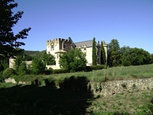 Allemagne-en-Provence, il castello