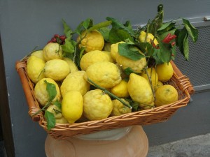 Limone, limoncino, limoncello. Un agrume dalle mille risorse