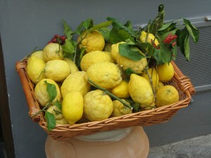 Monterosso, la festa dei limoni