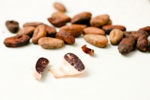 Semi di cacao: dalla loro lavorazione otteniamo il "cibo degli dei"