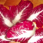 radicchio01