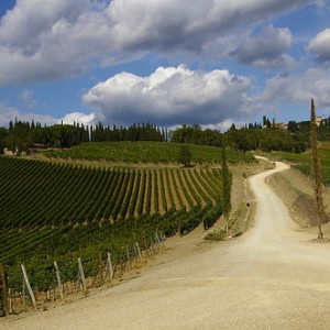 Tuscany Wine & Bike: degustazioni in bicicletta tra Chianti e Vernaccia