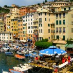 pesce_camogli