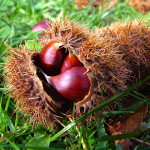 castagne