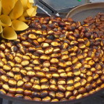 Castagne_arrostite